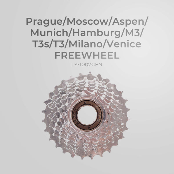 Freewheel-LY-1007CFN